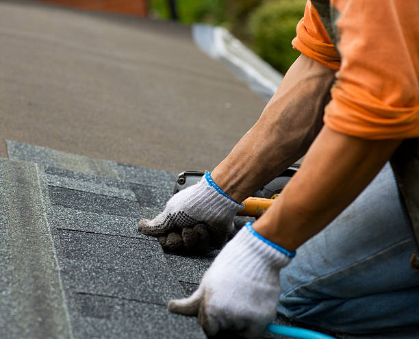 Best Emergency Roof Repair  in Andrews, NC